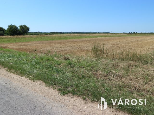 Egyházashollós,3 belterületi telek eladó,külön is. 2100m2/db