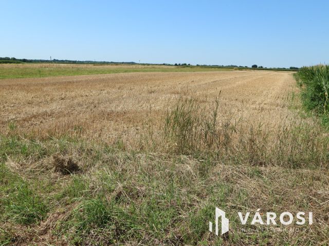 Egyházashollós,3 belterületi telek eladó,külön is. 2100m2/db