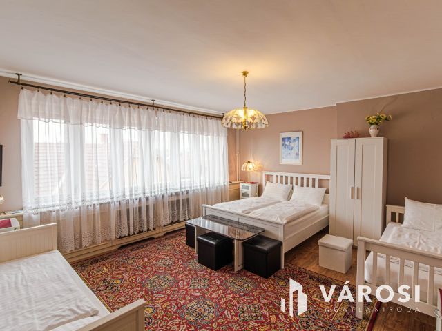 Bejáratott Panzió + egy 100 m2-es ház